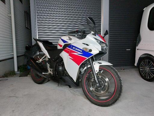 HONDA　CBR250R MC41　絶好調　兵庫県　加古川市