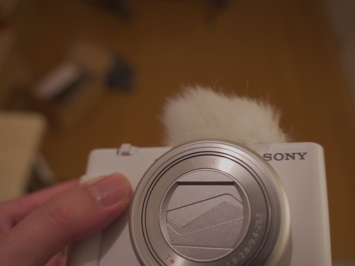 ソニー ZVｰ1 Vlogcam （ Sony ZV1 ）おまけ付き