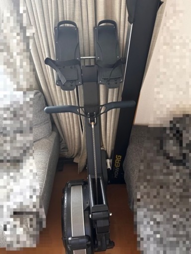 ᵗʱᵃᵑᵏᵧₒᵤ販売×1⋆ヘアアクセ2種セットアンゴラうさぎの