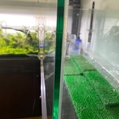 熱帯魚 水槽 オールガラス レグラス900
