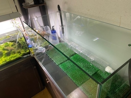 熱帯魚　水槽　オールガラス　レグラス900