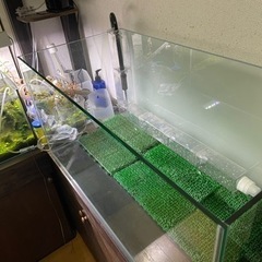 熱帯魚　水槽　オールガラス　レグラス900