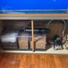 大型オーバーフローアクリル水槽♪   W1500×L600×H800