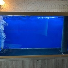 大型オーバーフローアクリル水槽♪   W1500×L600×H800