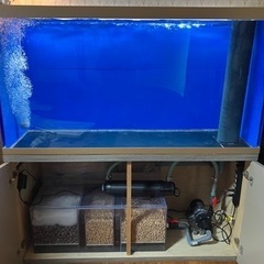 大型オーバーフローアクリル水槽♪   W1500×L600×H800