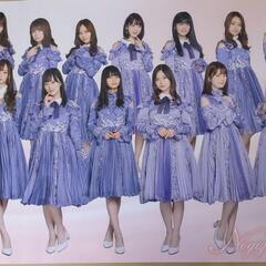 【ネット決済・配送可】乃木坂46のメンバー集合のBIGサイズポスター②