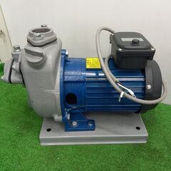 テラダ MP2N-0021 セルプラモーターポンプ【野田愛宕店】【店頭取引限定】【未使用】管理番号：ITGTUZ8MJENS