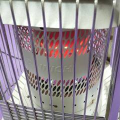 希少色プラチナシルバー】ダイニチブルーヒーター FM－105F