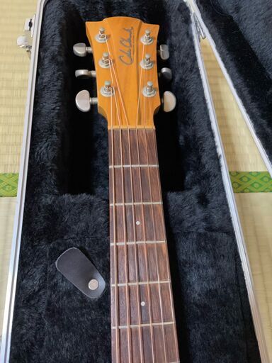 Cole Clark FL1AC コールクラーク Cole Clark コールクラーク FL1AC エレアコ