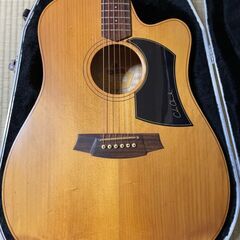 Cole Clark コールクラーク　FL1AC エレアコ