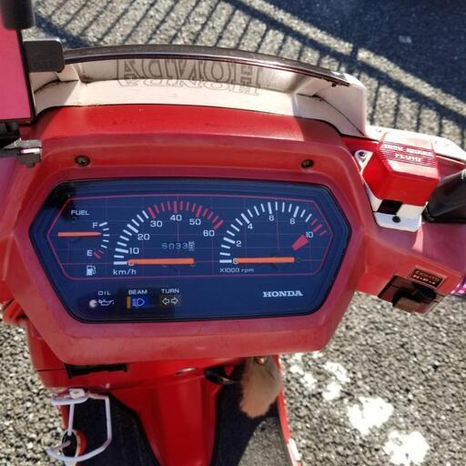 ホンダ リード50ss 白/赤ツートン