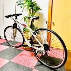 [受付終了]致しました、軽量アルミ快適な走り CENTURION 0 PROCRAFT  3x8 24段速