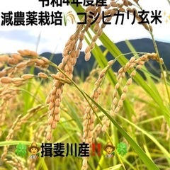 令和4年度産🌾減農薬栽培コシヒカリ米【限定8袋→完売‼︎】揖斐川産‼️