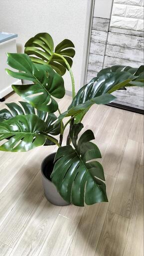 観葉植物(フェイクグリーン)