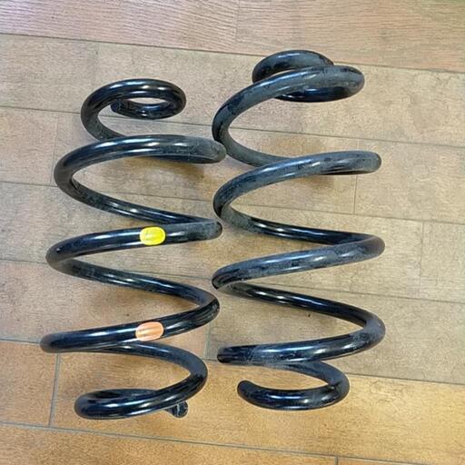 レトロ 初期 東京ディズニーランド 実写版 スーベニアスクリーン