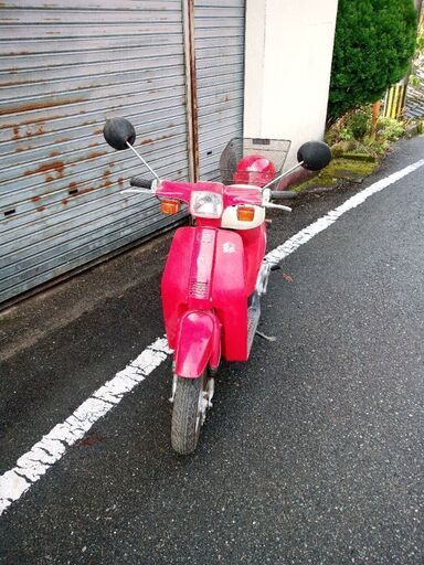 薔薇スクーター