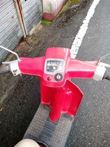 薔薇スクーター