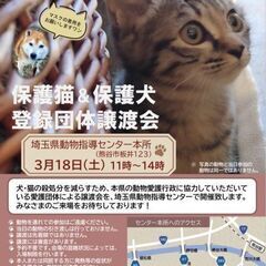 保護犬＆保護猫☆登録団体譲渡会ＩＮ埼玉県動物指導センター(本所)の画像