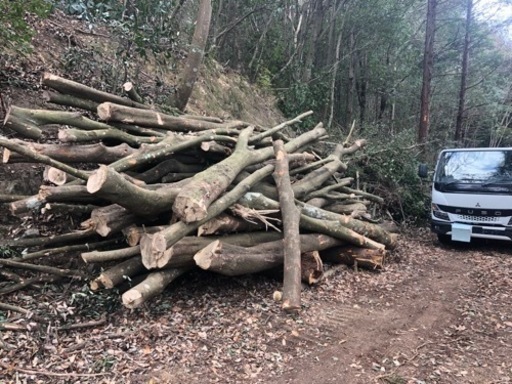 ストーブ・薪・玉切・原木・キャンプ・東かがわ市