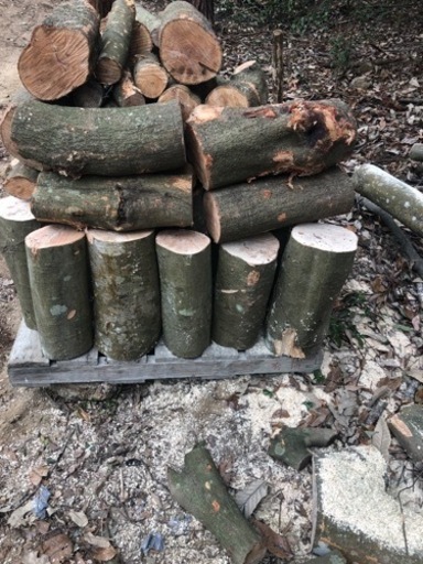 ストーブ・薪・玉切・原木・キャンプ・東かがわ市