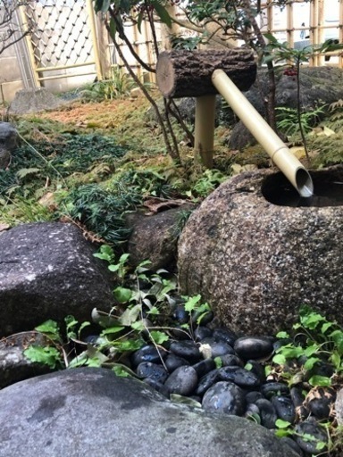 人気特価激安 灯籠、手水鉢、庭石、庭木 その他
