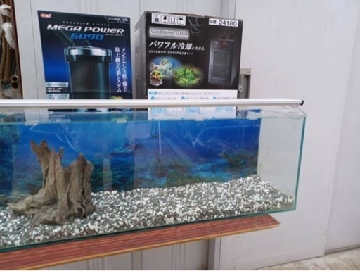 水槽
