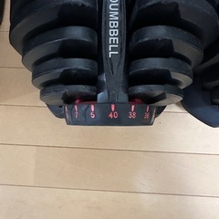 可変式ダンベル 40キロ×2 80キロ