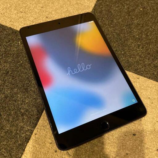 iPad ipad mini5 256GB
