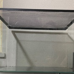 【取引中】水槽 トカゲ・カナヘビ飼育セット