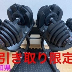 Motions モーションズ アジャスタブル ダンベル 可変式ダンベル 40kg×2 スタンド付き