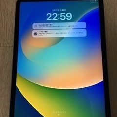 iPad Pro11 256gb SIMフリー