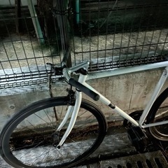 ピストバイク カーテルバイク 19日にリサイクルショップで売るので19日 