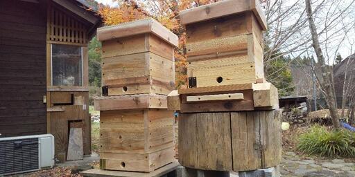 ニホンミツバチの重箱式2段巣箱×3セット+オリジナル巣箱台