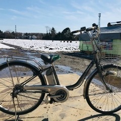 2805番　電動自転車