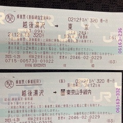 越後湯沢から東京まで２月１２日限定チケット