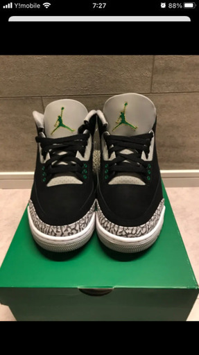 スニーカー Jordan 3 Pine Green 26cm