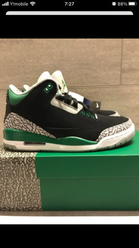 スニーカー Jordan 3 Pine Green 26cm