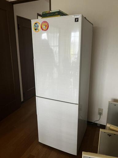 決まりました　2018年製　シャープの冷蔵庫　ホワイト