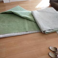 グリーンのカーペット(8畳)
