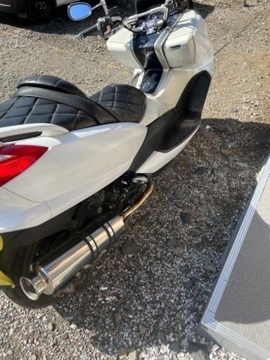 4d9 マジェスティ