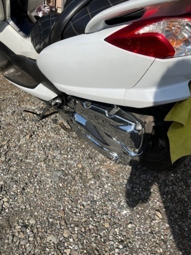 4d9 マジェスティ