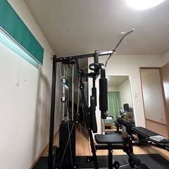 ファイティングロード ホームジムEX100