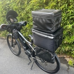 YAMAHA YPJ-XC 週末限定価格