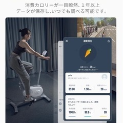 美品　zepan&nexgim AI フィットネスバイク　NEXGIM-MG03