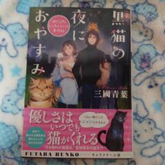 三國青葉 黒猫の夜におやすみ 神戸元町レンタルキャット事件帖