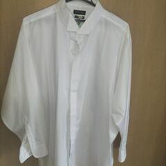 ウィングカラーシャツ (モーニング用ワイシャツ)6L