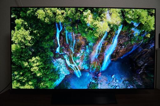 LG 55V型 有機EL テレビ OLED55B8SJB