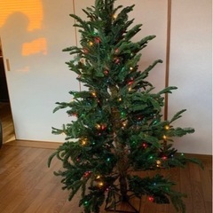 クリスマスツリー　Christmas tree