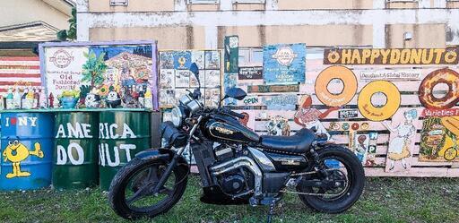 エリミネーター250se カスタム