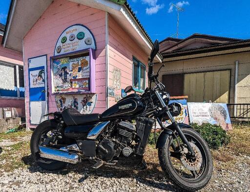 エリミネーター250se カスタム 【公式通販】
